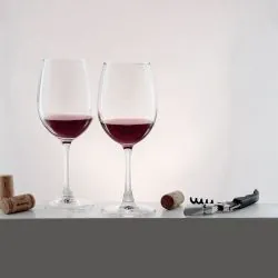 Gourmet y Sommelier | Set de Vino Brindis con logo | Regalos Corporativos Personalizados